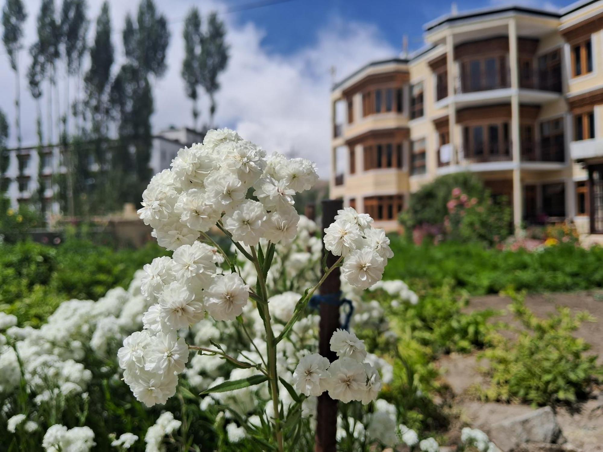 Zaltak And Homestay Leh