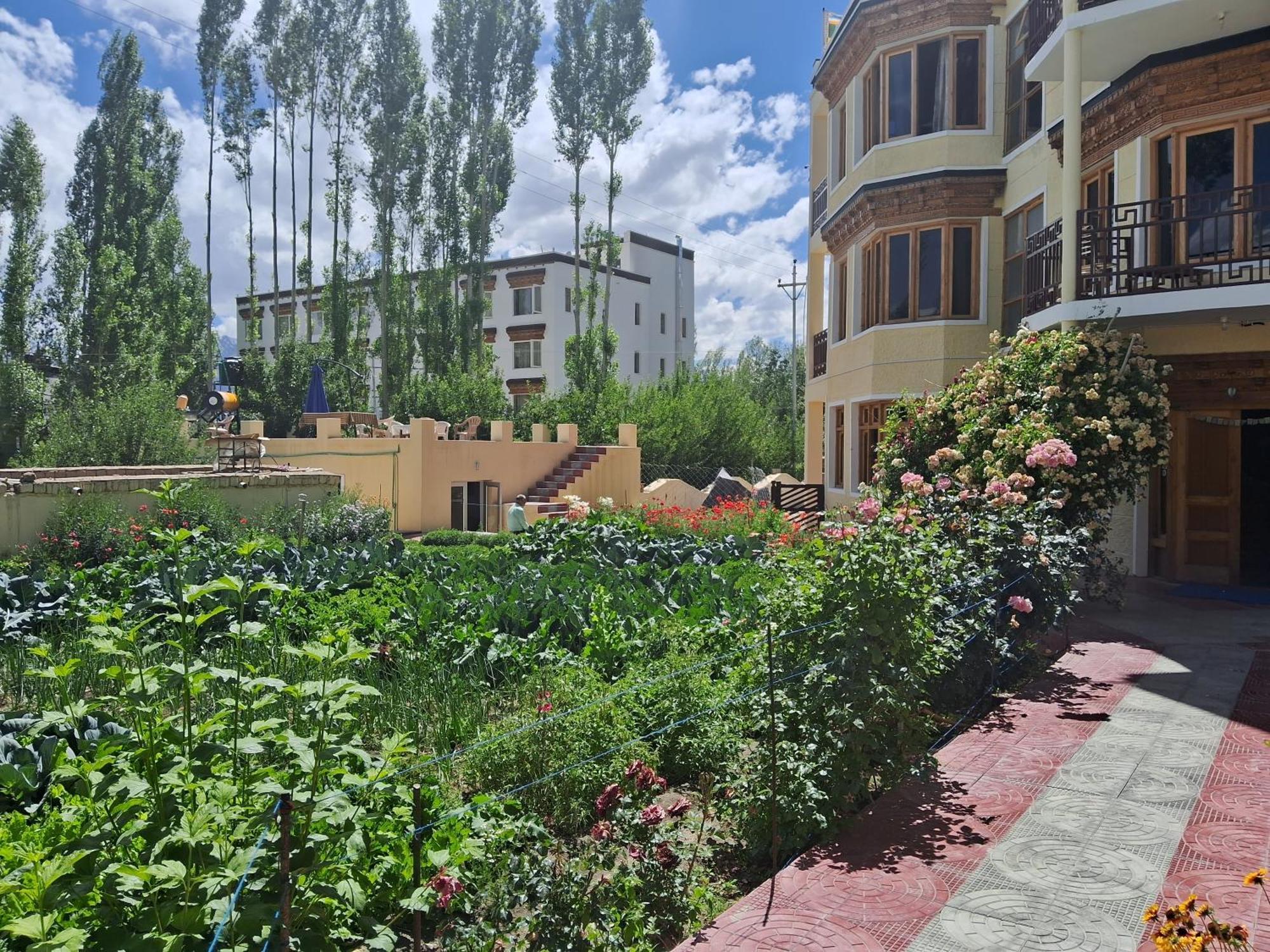 Zaltak And Homestay Leh