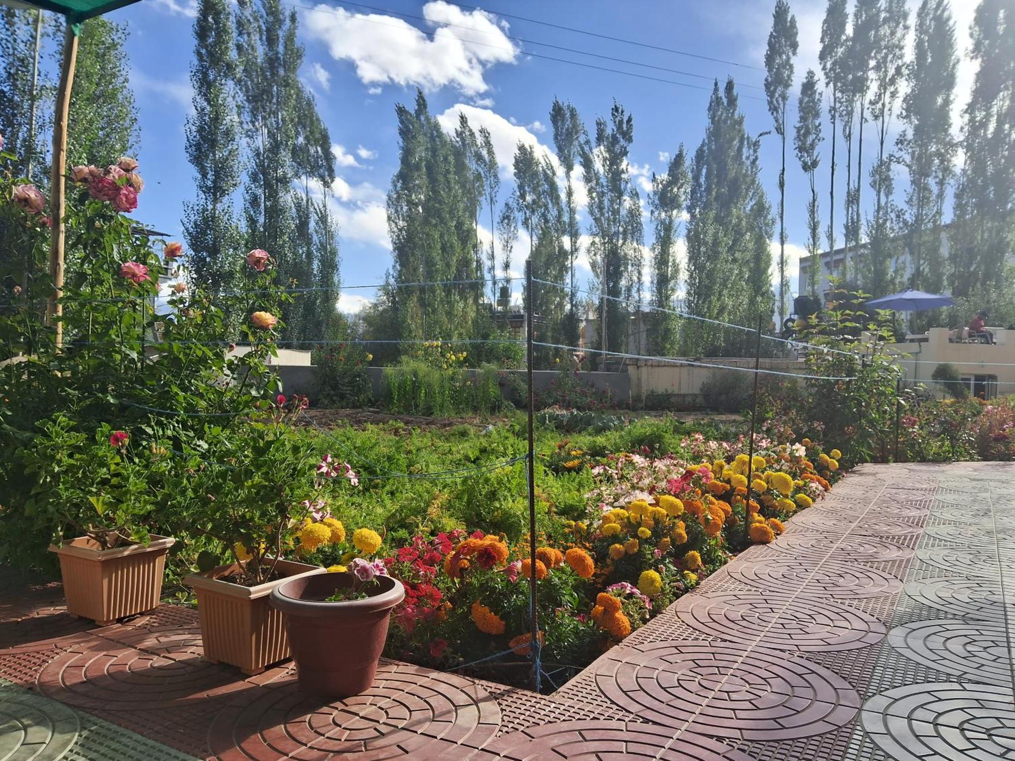 Homestay Zaltak And