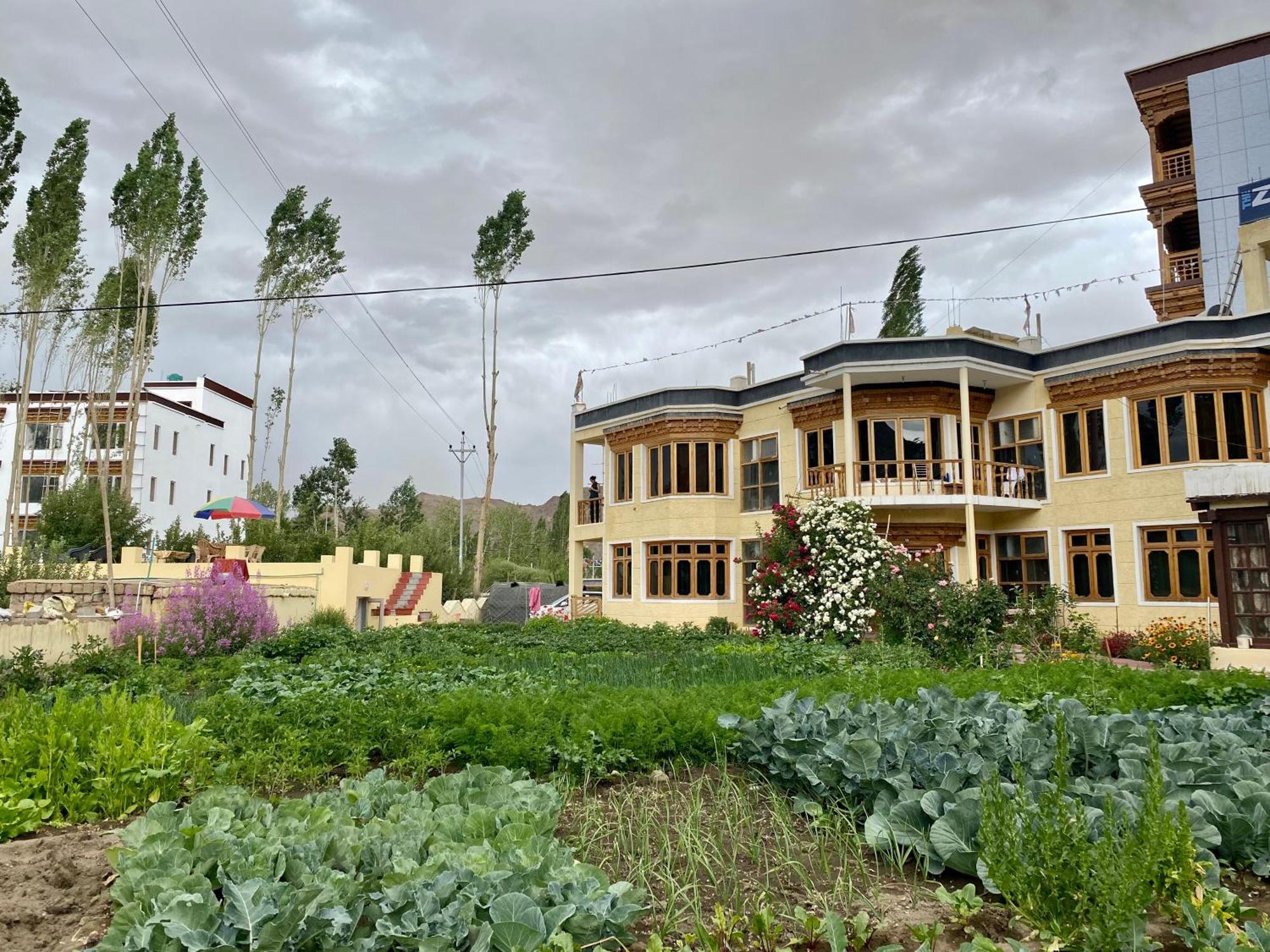 Zaltak And Homestay Leh